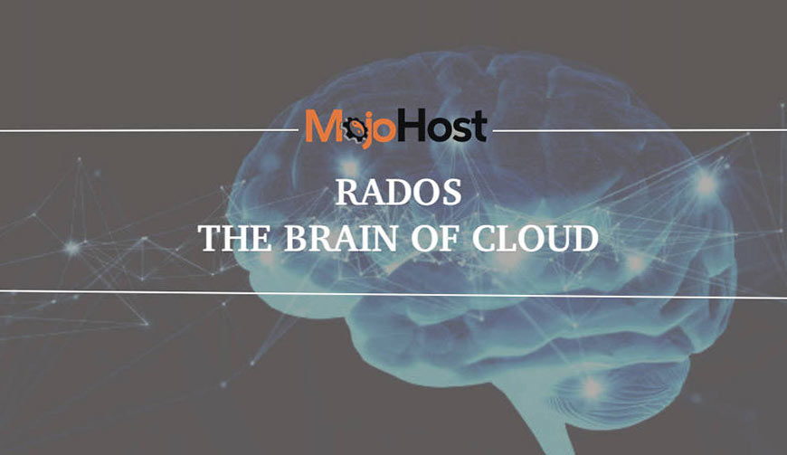 Graphic showing white sans-serif type and MojoHost logo over illustration of brain and network